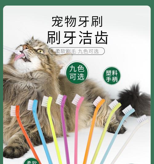 宠物清洁用品准备指南（为你的宠物提供清洁与健康的环境）