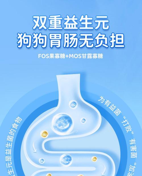小狗狗粮不需泡着吃的最佳时间（科学喂养，给宝贝舌尖上的呵护）