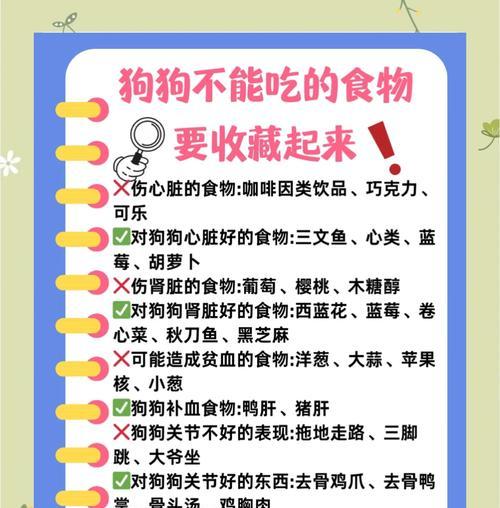 幼犬洗完澡后多久可以吃东西？（了解适当的等待时间和饮食建议）
