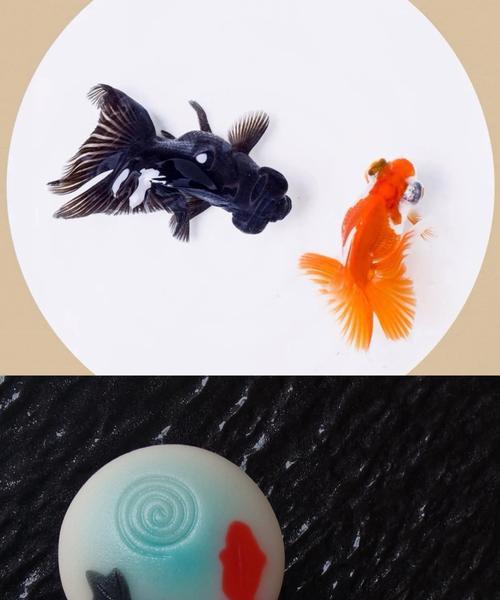金鱼掉鳞后需要多长时间才能长出新鳞片？（金鱼掉鳞症状及治疗方法详解）