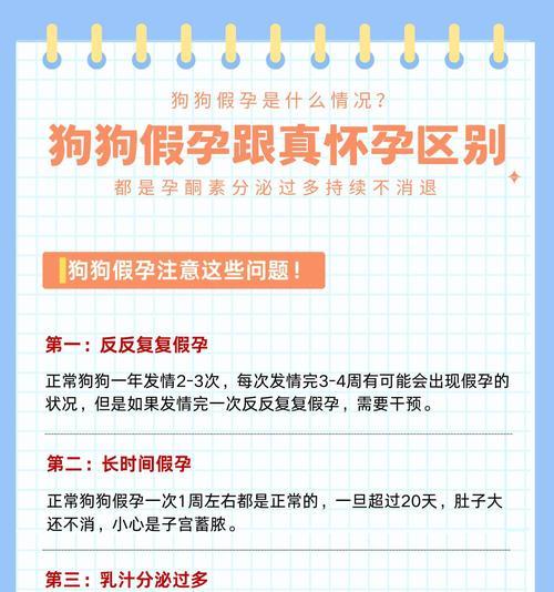 泰迪犬怀孕的时间和迹象（了解泰迪犬的生育周期和繁殖征兆）