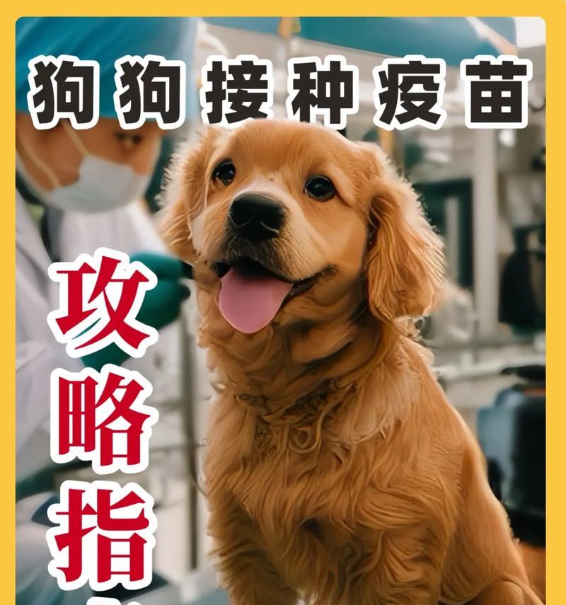狗狗疫苗知识大揭秘（了解狗狗应该接种的必备疫苗）