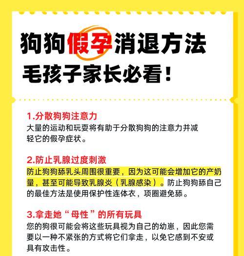 母犬假怀孕的周期与症状（探究母犬假怀孕的表现及处理方法）