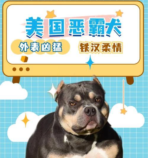 恶霸犬和比特犬（探究恶霸犬和比特犬的特点与区别，为您选择合适的宠物提供参考）