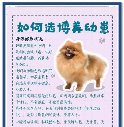博美犬（博美犬好喂养吗？一起了解如何照顾这个可爱的品种吧！）