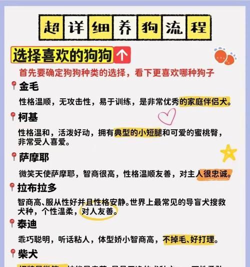 养狗App指南（解密养狗App，让你的宠物生活更便利、健康、幸福）