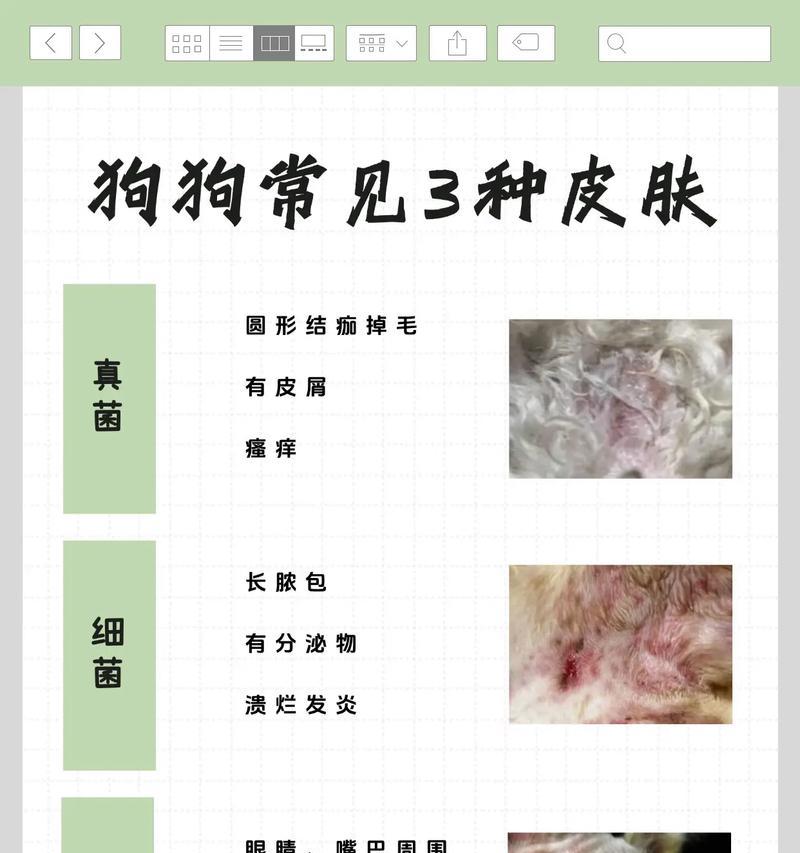 犬类皮肤病大全（了解犬类皮肤病的常见类型及相应治疗方法，给宠物更好的护理。）