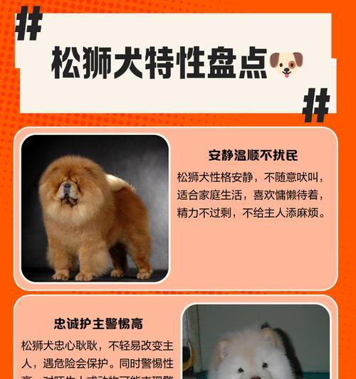 松狮犬呕吐不吃东西，如何应对？（针对松狮呕吐情况的处理方法与建议）
