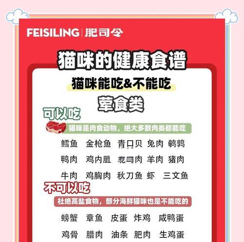 小猫吃饭时间的重要性（从小猫吃饭的频率到成长的健康）