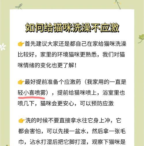 小猫何时可以洗澡？（了解小猫洗澡的适宜时间和注意事项）